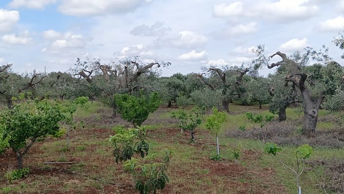 Image No.37-6 Bed Property for sale