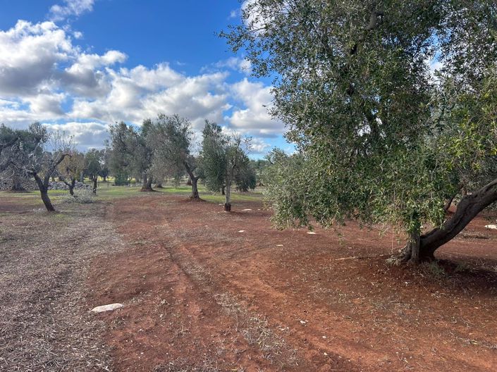 Image No.13-2 Bed Property for sale