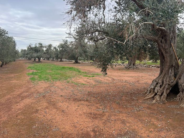 Image No.10-2 Bed Property for sale