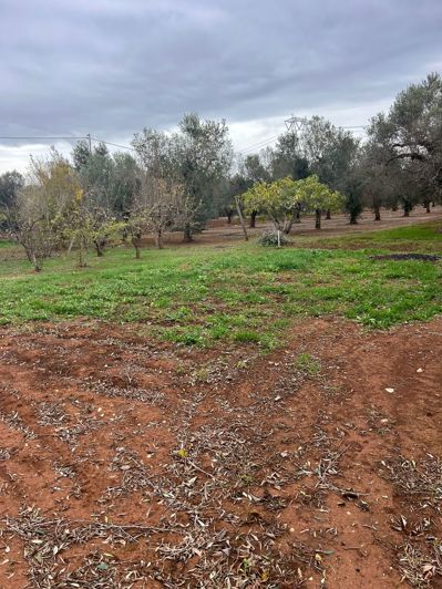 Image No.8-2 Bed Property for sale