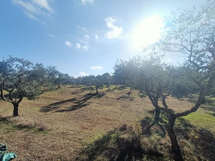 Image No.24-3 Bed Villa for sale