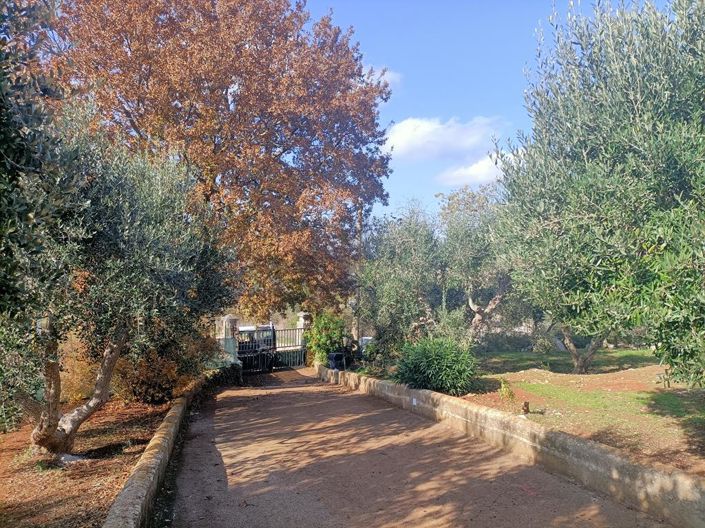 Image No.4-3 Bed Villa for sale