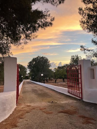 Image No.5-Ferme de 2 chambres à vendre à Ostuni