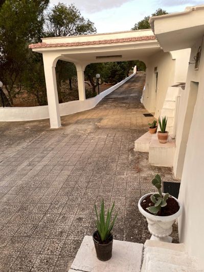 Image No.6-Ferme de 2 chambres à vendre à Ostuni