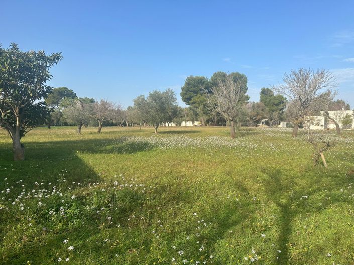 Image No.13-Propriété de 2 chambres à vendre à San Vito dei Normanni