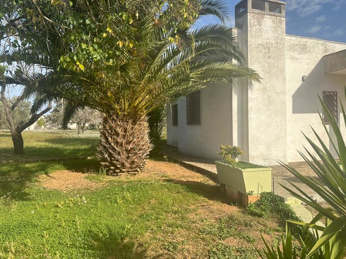 Image No.3-Propriété de 2 chambres à vendre à San Vito dei Normanni