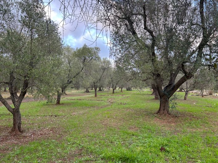 Image No.8-2 Bed Property for sale