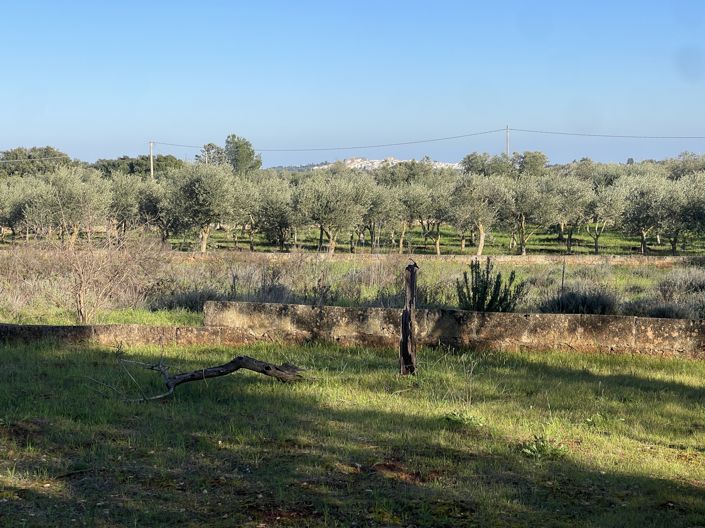 Image No.26-2 Bed Property for sale