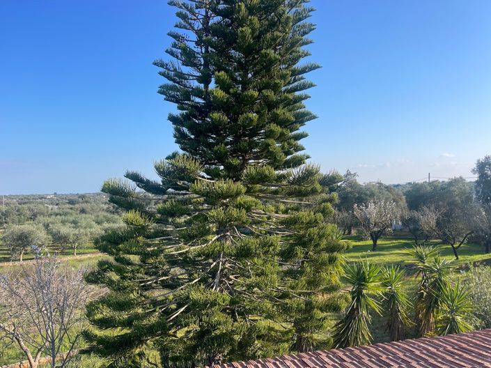 Image No.38-2 Bed Property for sale