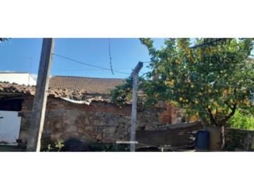 Foto-11