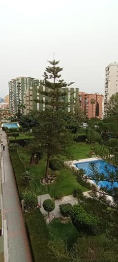 Image No.15-Appartement de 3 chambres à vendre à Los Boliches