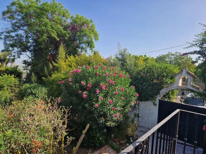 Image No.36-5 Bed Finca for sale