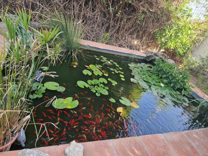 Image No.47-5 Bed Finca for sale