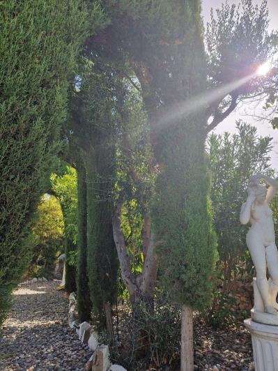 Image No.49-5 Bed Finca for sale