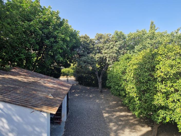 Image No.54-5 Bed Finca for sale