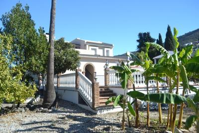 Martin Real Estate most sold property