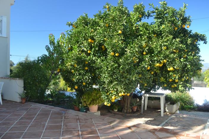 Image No.50-6 Bed Villa / Detached for sale