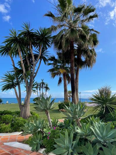 Image No.16-2 Bed Penthouse for sale