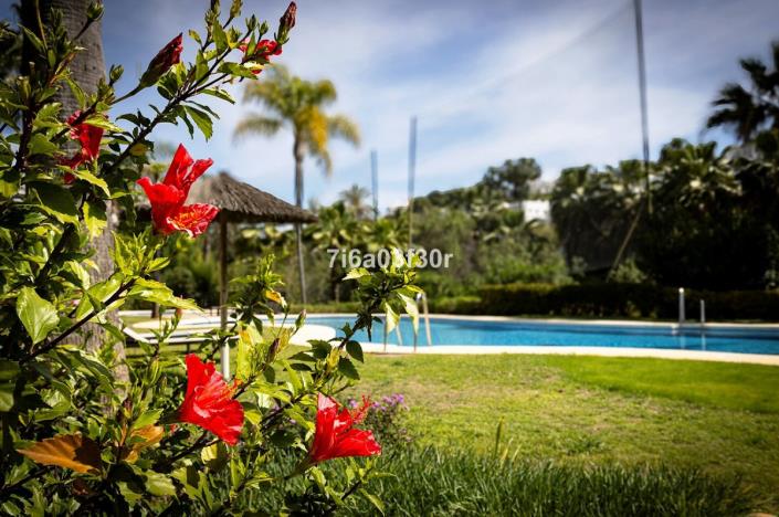 Image No.26-2 Bed Penthouse for sale