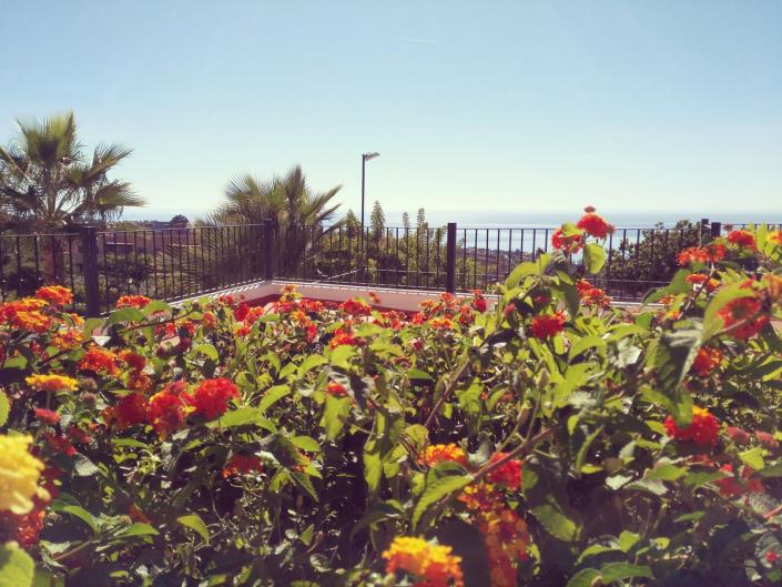 Image No.49-Maison de ville de 4 chambres à vendre à Manilva