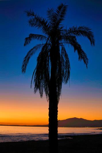 Image No.25-Appartement de 2 chambres à vendre à Marbella