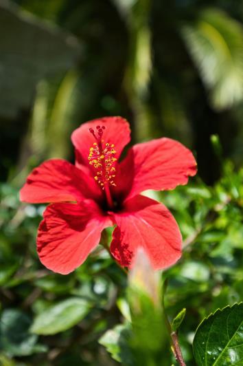 Image No.31-Appartement de 2 chambres à vendre à Marbella