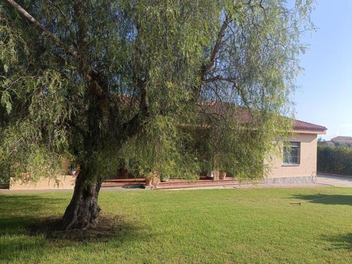 Image No.17-Finca de 4 chambres à vendre à Alhaurín el Grande