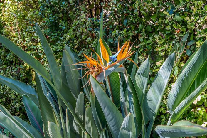 Image No.30-3 Bed Apartment for sale