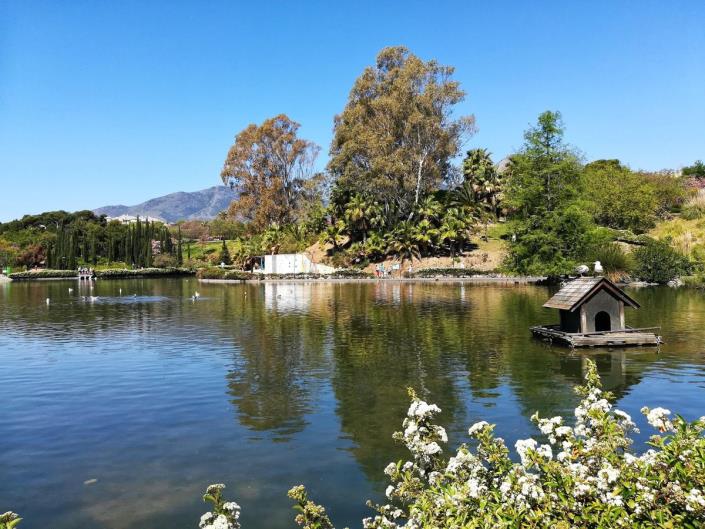 Image No.18-1 Bed Apartment for sale