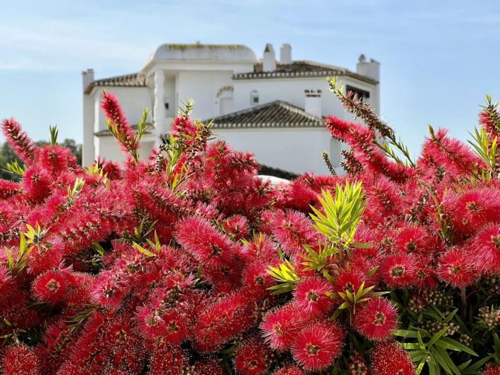 Image No.3-1 Bed Apartment for sale