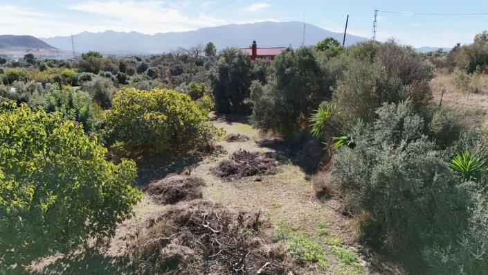 Image No.6-4 Bed Cortijo for sale