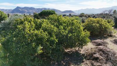 8-e64a9055bba3e77ac8aca3b893cdf826