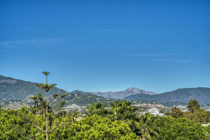 Image No.47-4 Bed Duplex for sale