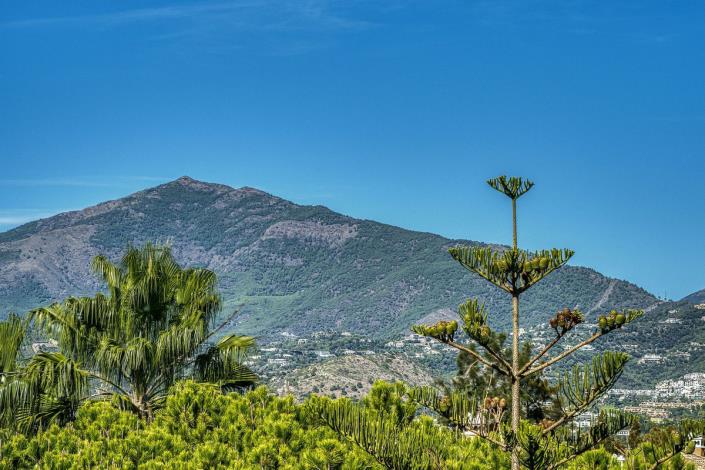 Image No.49-4 Bed Duplex for sale