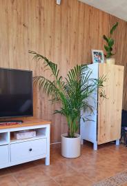 6-241328e1bcc9c0d8ce1222beb6c967a8