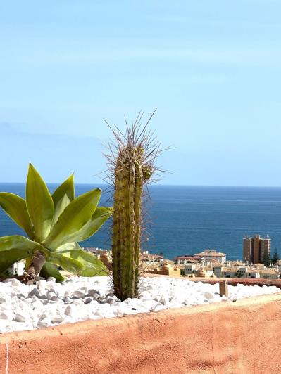 Image No.1-3 Bed Penthouse for sale