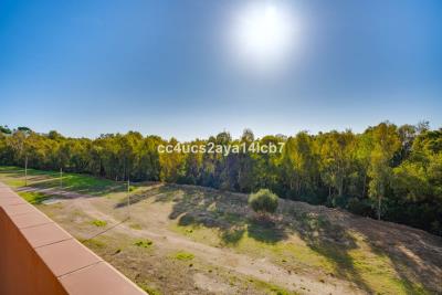 14-d70dc3102c00d7be0e872dfe1c1f86d7