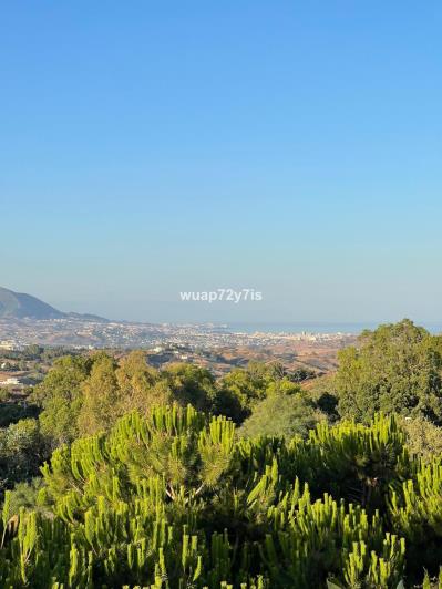 Image No.29-2 Bed Penthouse for sale