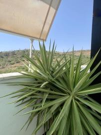 3-e898b2bb2a2fdfd06d2c39894dce8316