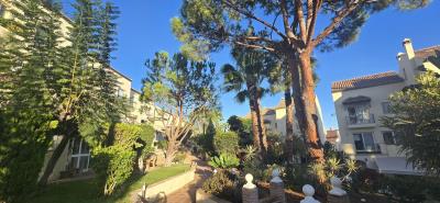 7-aa4cc561180b369757c0bb4af9886cd3