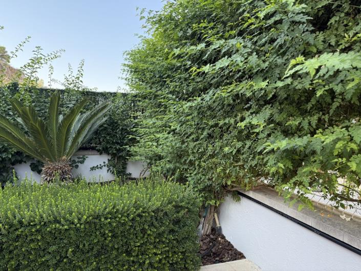 Image No.31-Villa / Détaché de 3 chambres à vendre à Coin