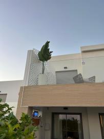 3-e898b2bb2a2fdfd06d2c39894dce8316