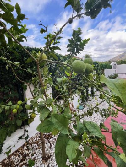 Image No.21-Villa / Détaché de 3 chambres à vendre à Sierra Blanca
