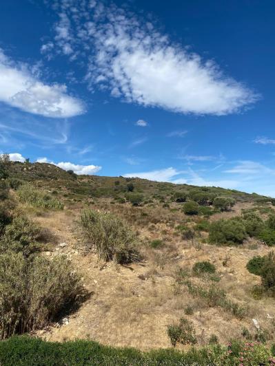 Image No.18-1 Bed Penthouse for sale