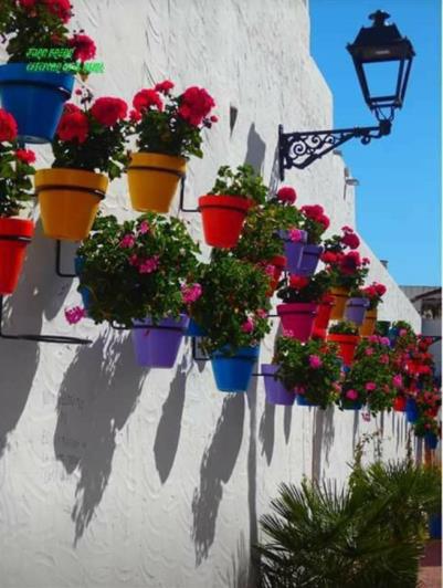 Image No.22-3 Bed Apartment for sale