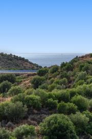 8-e64a9055bba3e77ac8aca3b893cdf826