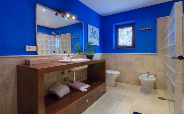 Image No.18-4 Bed Finca for sale