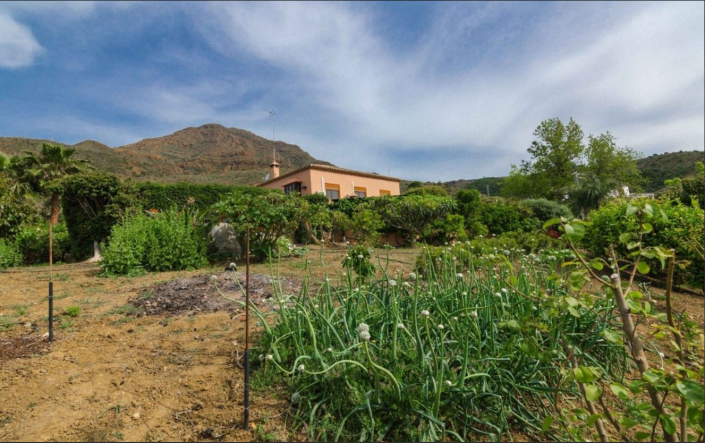 Image No.24-4 Bed Finca for sale