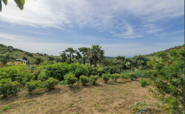 Image No.25-4 Bed Finca for sale