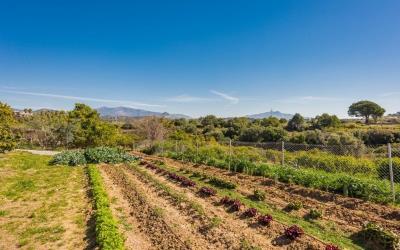 13-5fd73dea700db77384c091ca9818b1a9